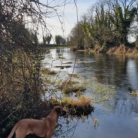 Welcome To Dc's Holycross