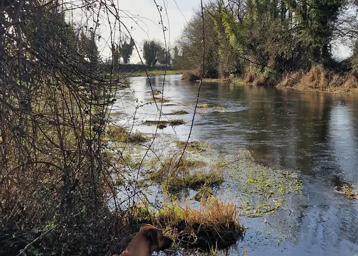 Welcome To Dc's Holycross